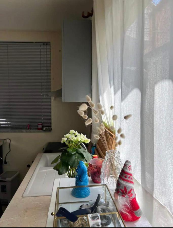 Brilant Studio Apartment City Center 地拉那 外观 照片