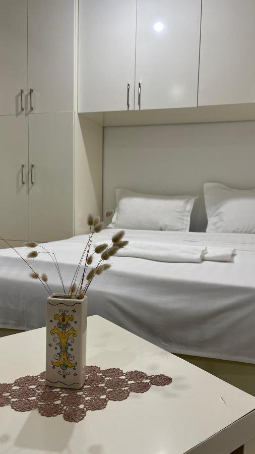 Brilant Studio Apartment City Center 地拉那 外观 照片